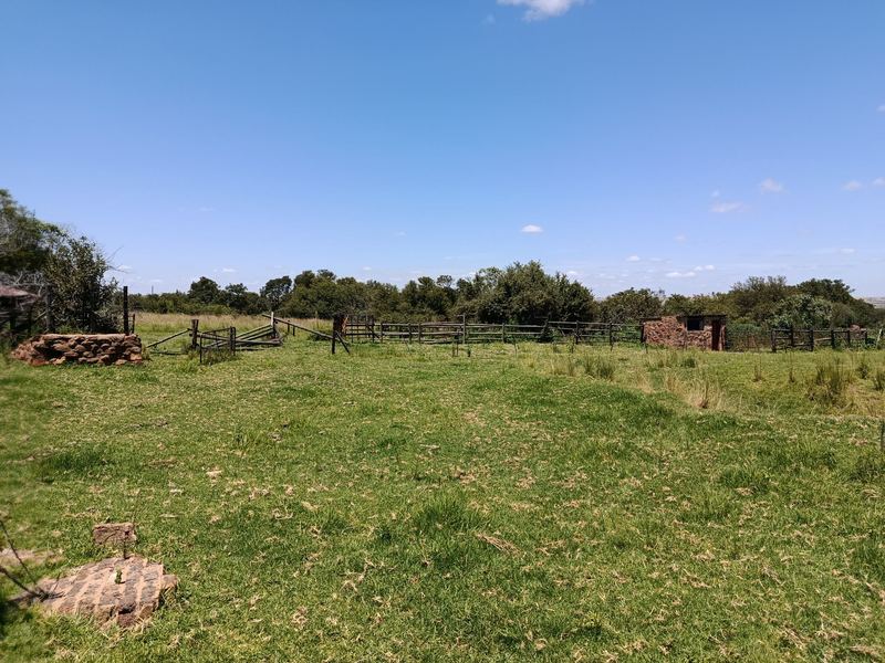 Cattle handling area