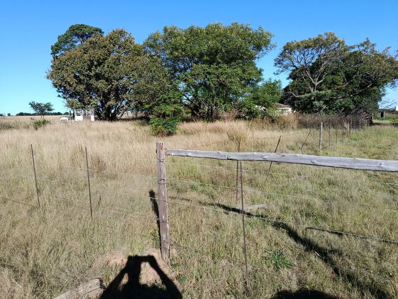 Main yard fencing