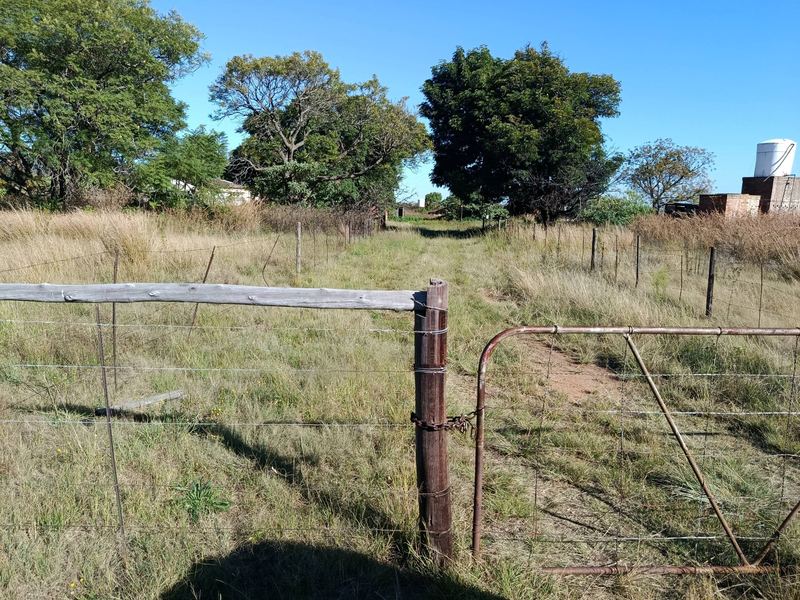 Farm gate and yard